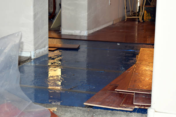 Professional Flood Cleanup technician working in Carver, MA